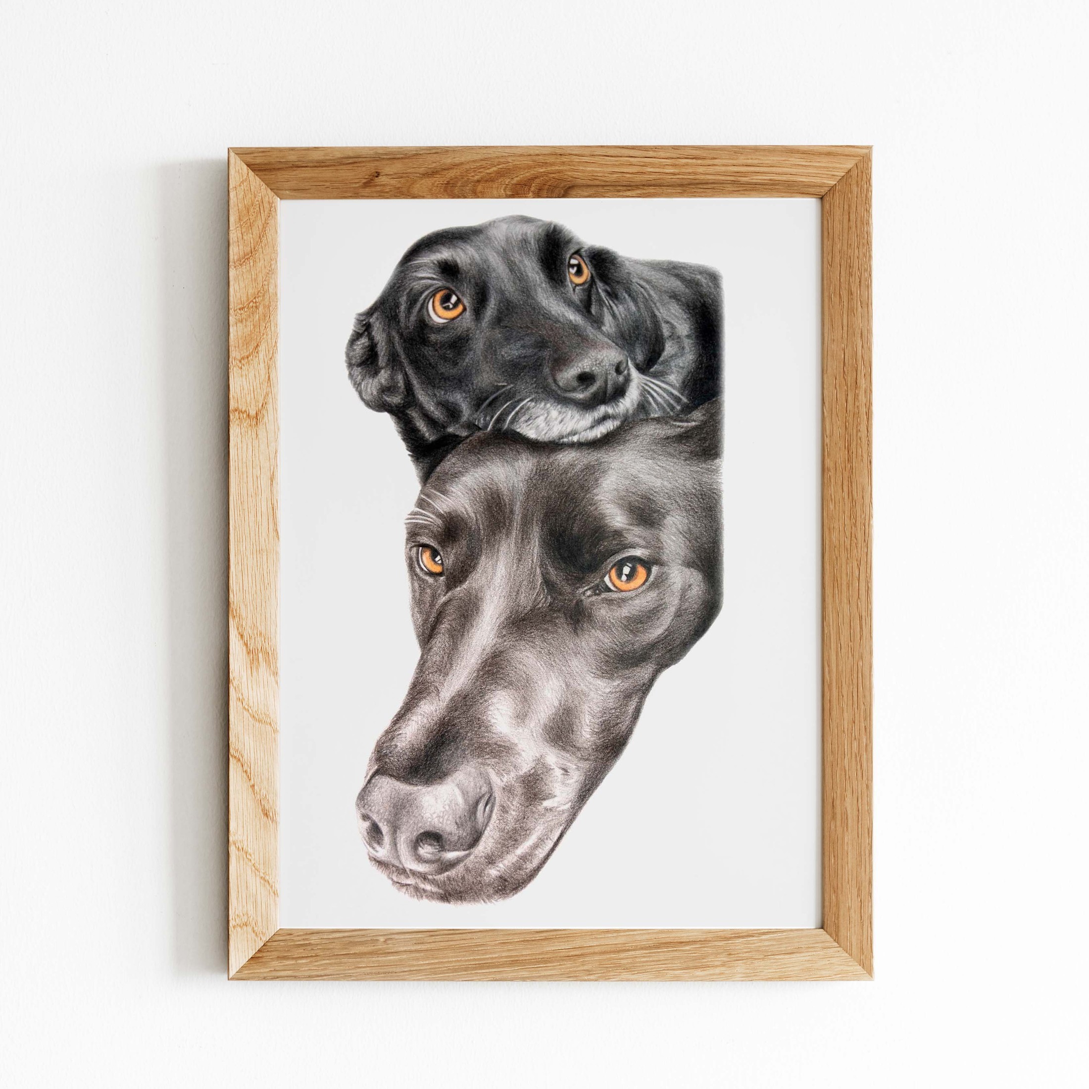 Retrato a lápiz de dos perros de raza labrador negro, enmarcado en madera clara